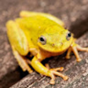 Meet your Posher, Nathan